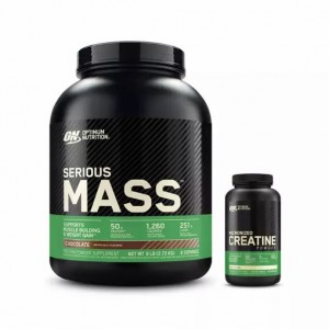 Optimum Nutrition Mass Stack Philippines | 64328-LOSX