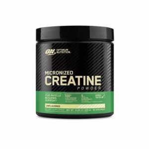 Optimum Nutrition Micronized Creatine Powder Unflavored 0.66 lb (60 Servings) Philippines | 80312-ZKCS