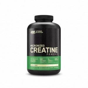 Optimum Nutrition Micronized Creatine Powder Unflavored 1.32 lb (120 Servings) Philippines | 63948-GNTU