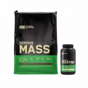 Optimum Nutrition The Original Mass Stack Philippines | 36981-VKBO